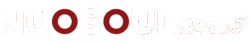 nuosoul 横版logo 1 1png1